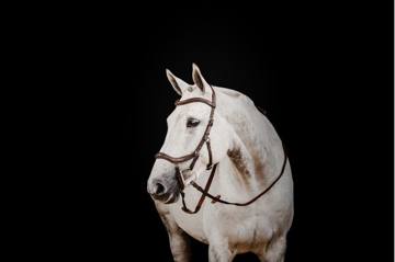 Rambo Micklem 2 Deluxe Competition Bridle w/Reins - Dark Havana