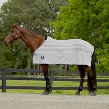 OPENBOX: Equinavia Sefyr Scrim Sheet - X Large - Grey/Orchid Mist