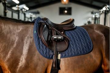Amigo Jump Saddle Pad - Navy