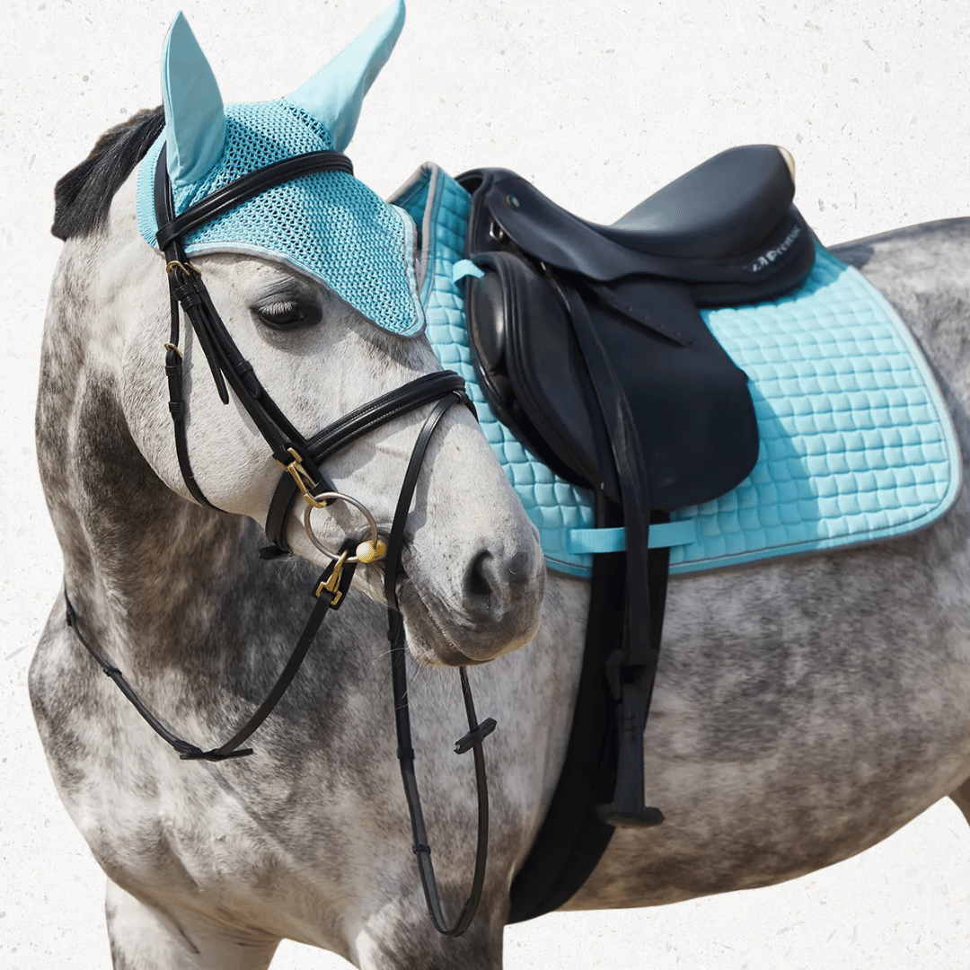 Saddle Pads - Deals