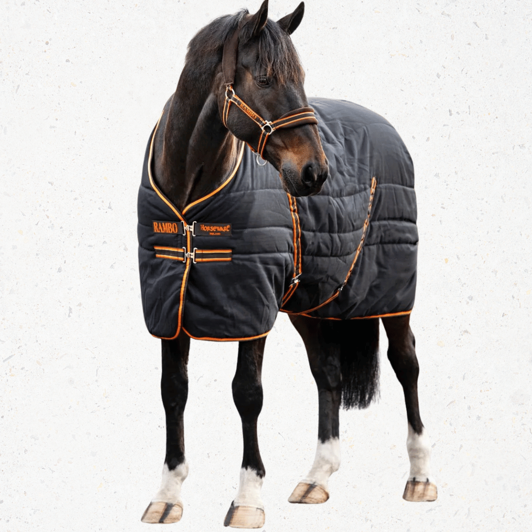 Horse Blankets, Sheets, Coolers - Deals