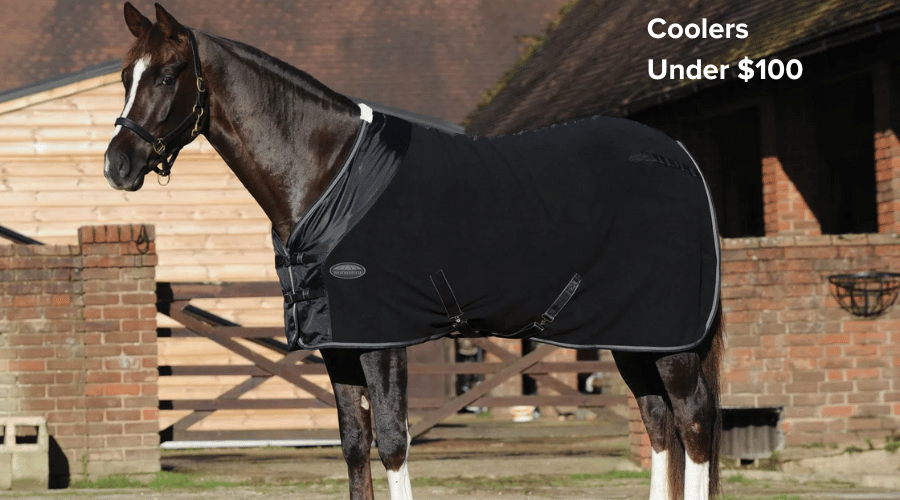 Coolers Under $100