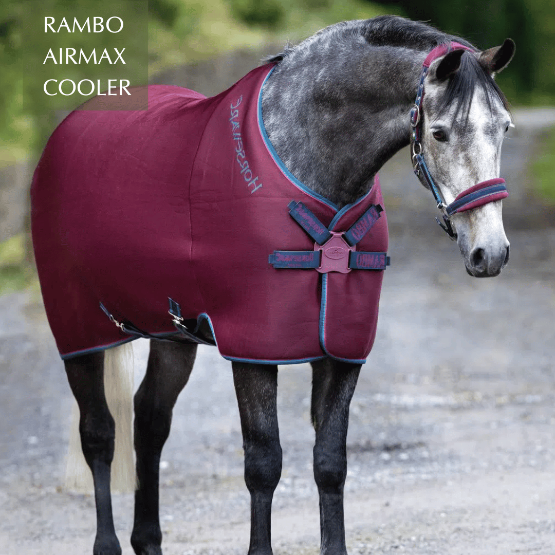 Shop for the Rambo AirMax Cooler