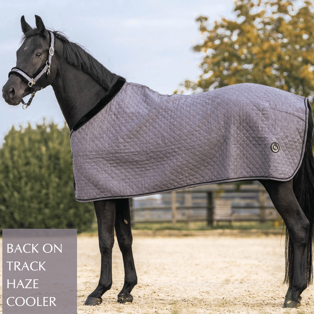 Shop for Back on Track Haze Collection