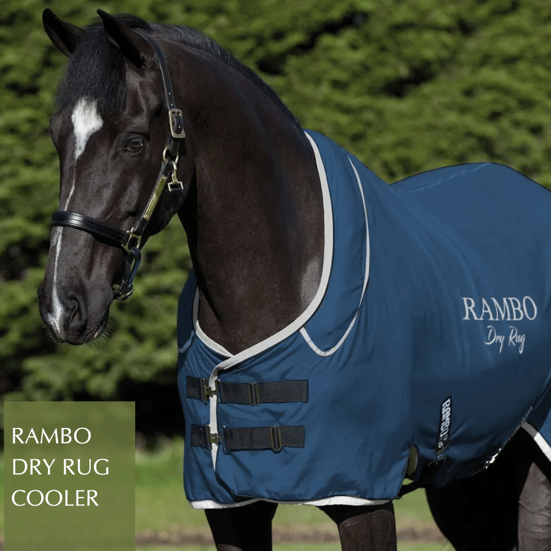 Shop for the Rambo Dry Rug Supreme Cooler