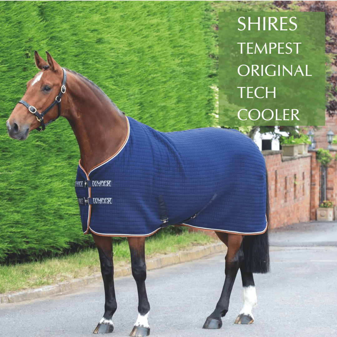 Shop for the Shires Tempest Original Tech Cooler