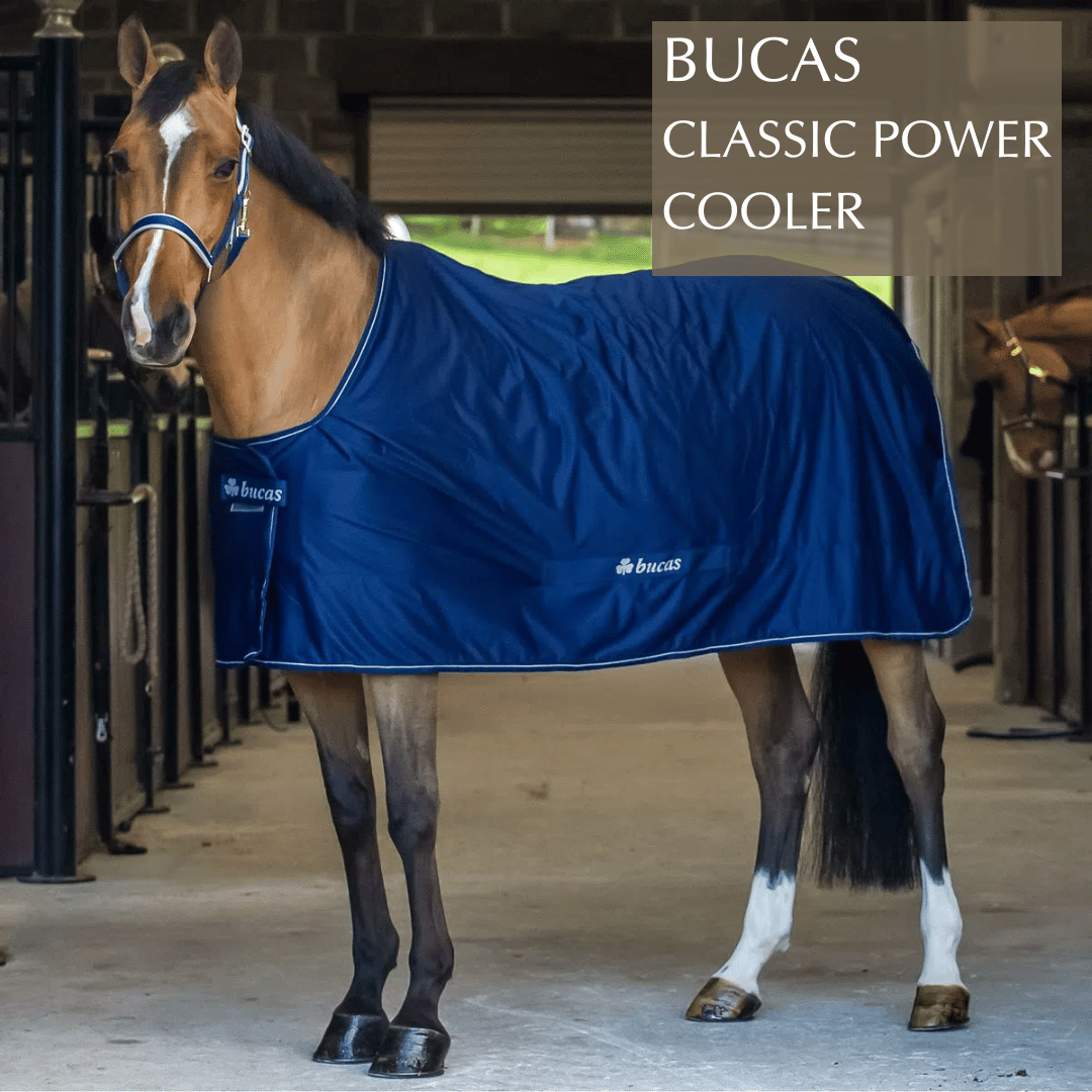 Shop for the Bucas Classic Power Cooler