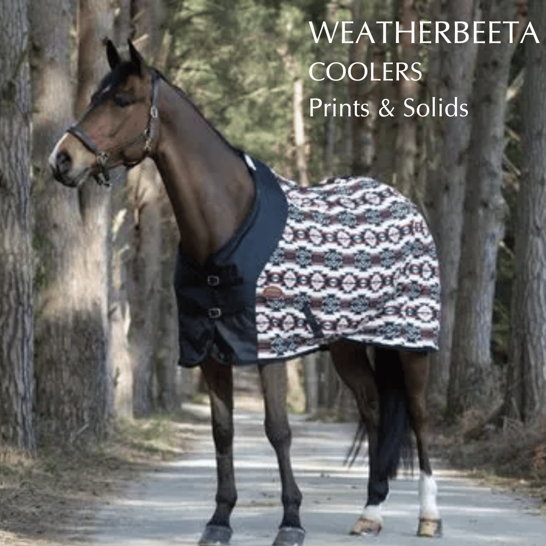 Shop for Weatherbeeta Coolers