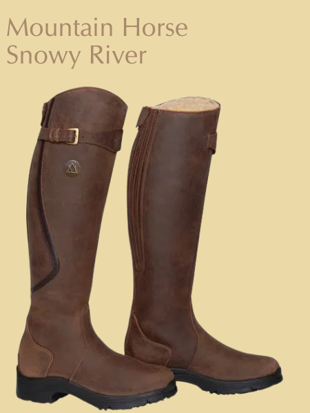 Mountain Horse Snowy River