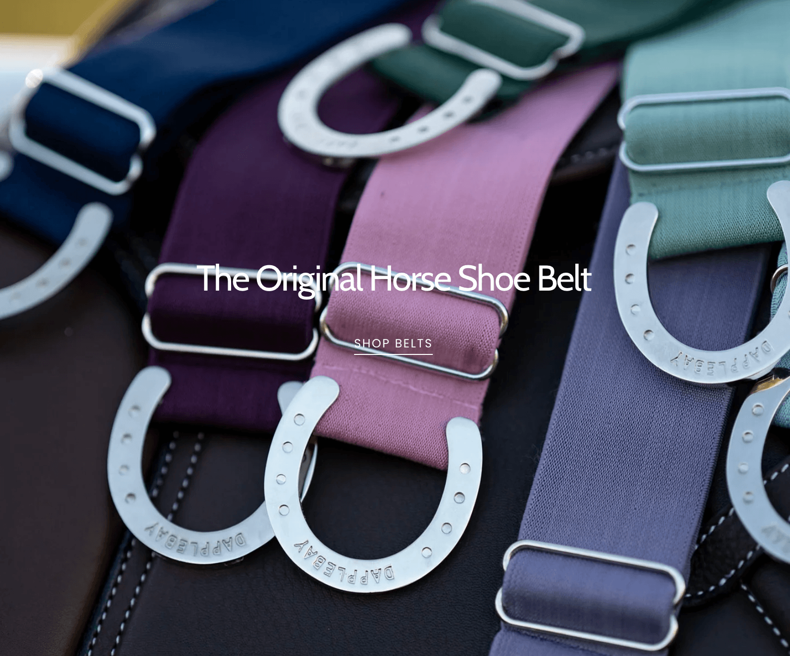 Shop Dapplebay Belts
