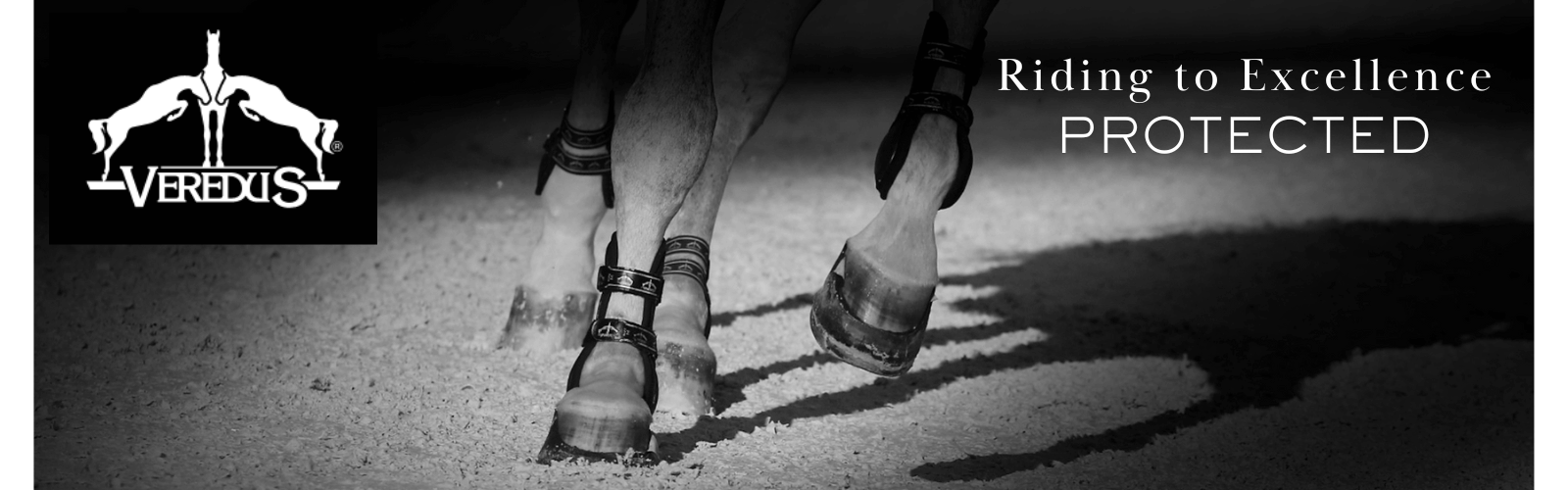 Veredus Horse Boots Veredus Horse Boots