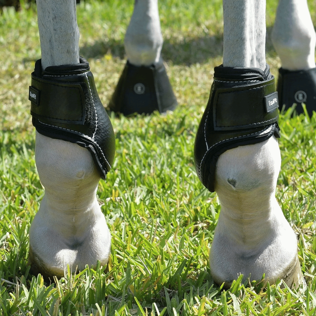 EquiFit Young Horse Hind Boot w/ ImpacTec Liner