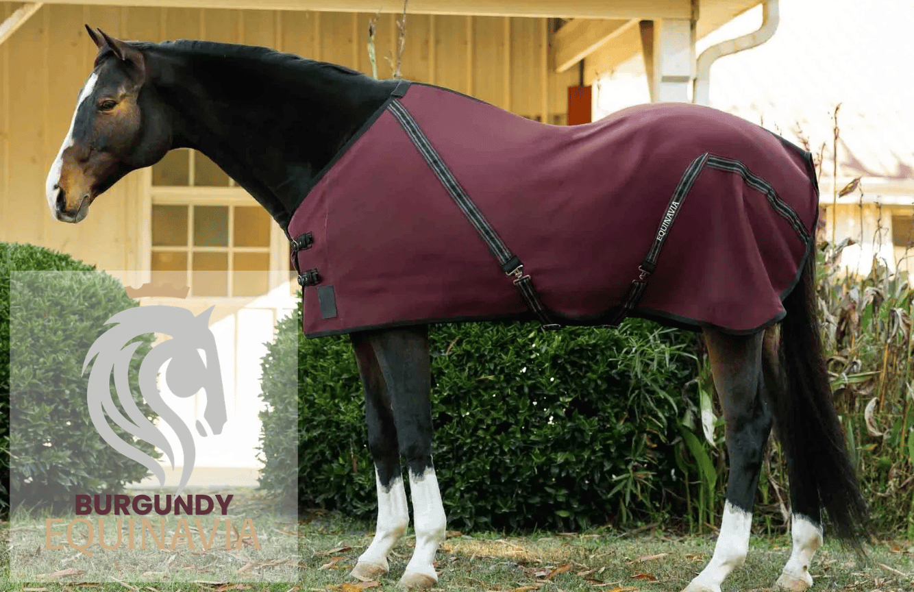 Equinavia Burgundy Equinavia Burgundy