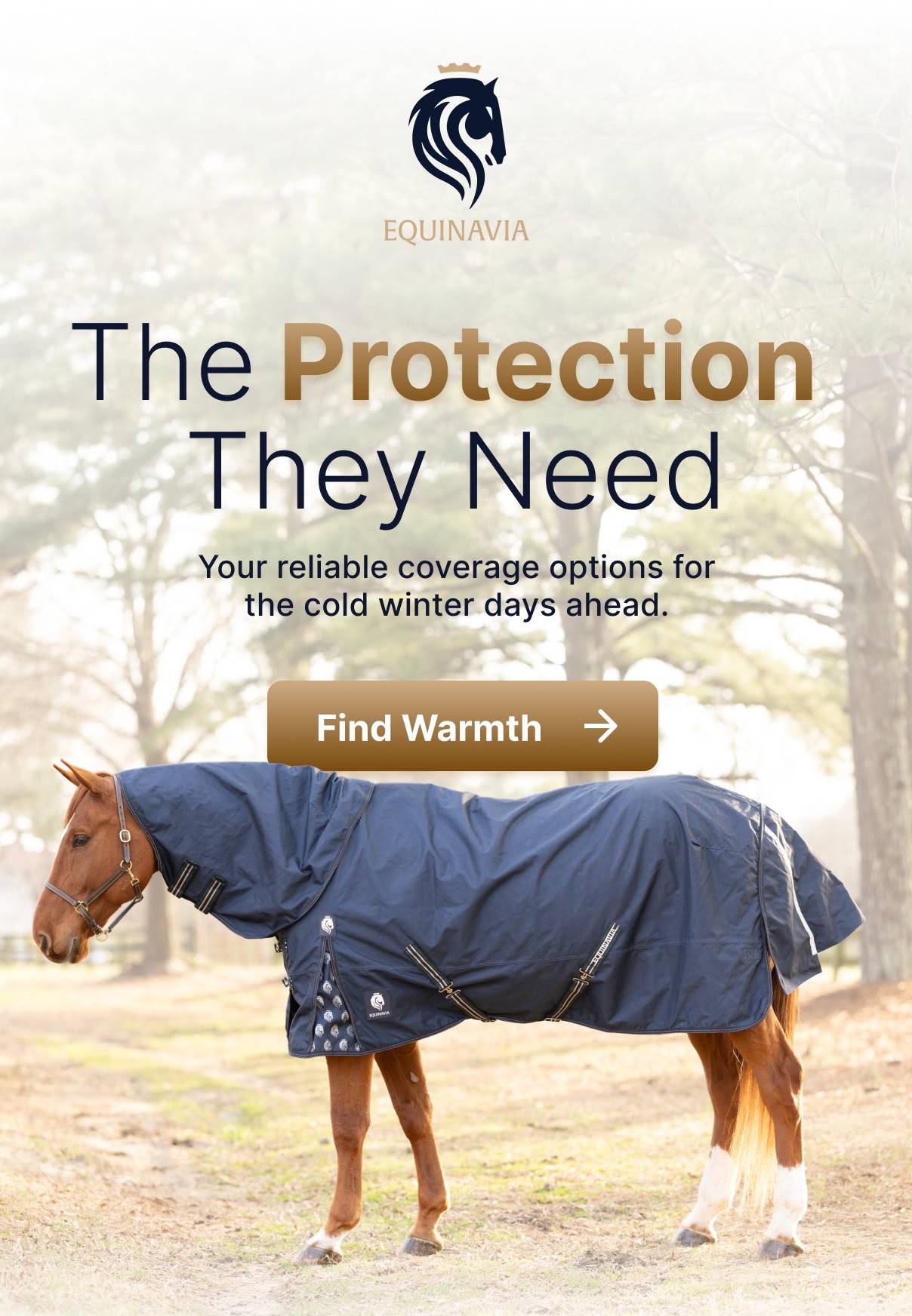 Equinavia: Shop Reliable Coverage Options Equinavia: Shop Reliable Coverage Options