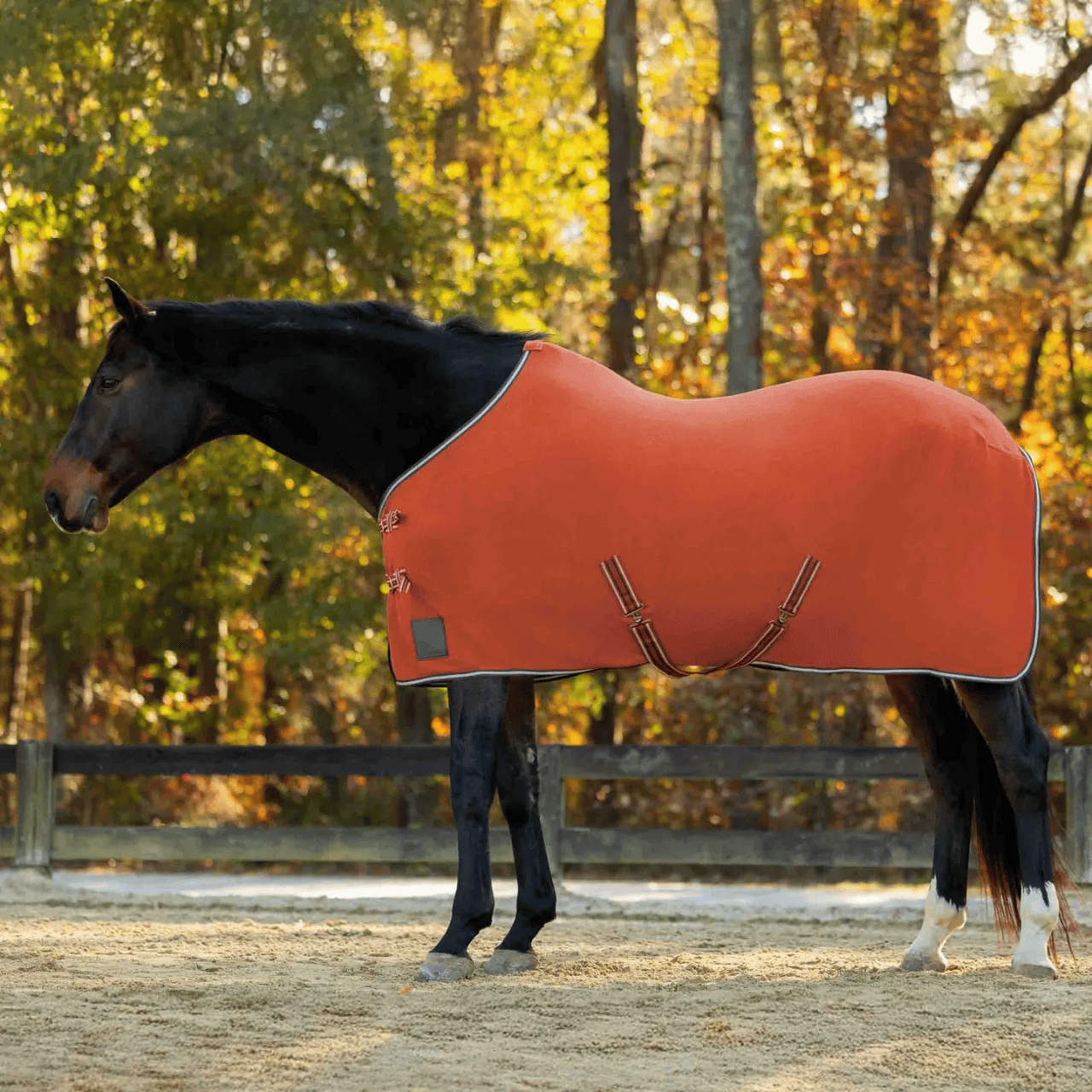 Equinavia Norse Fleece Cooler Equinavia Norse Fleece Cooler