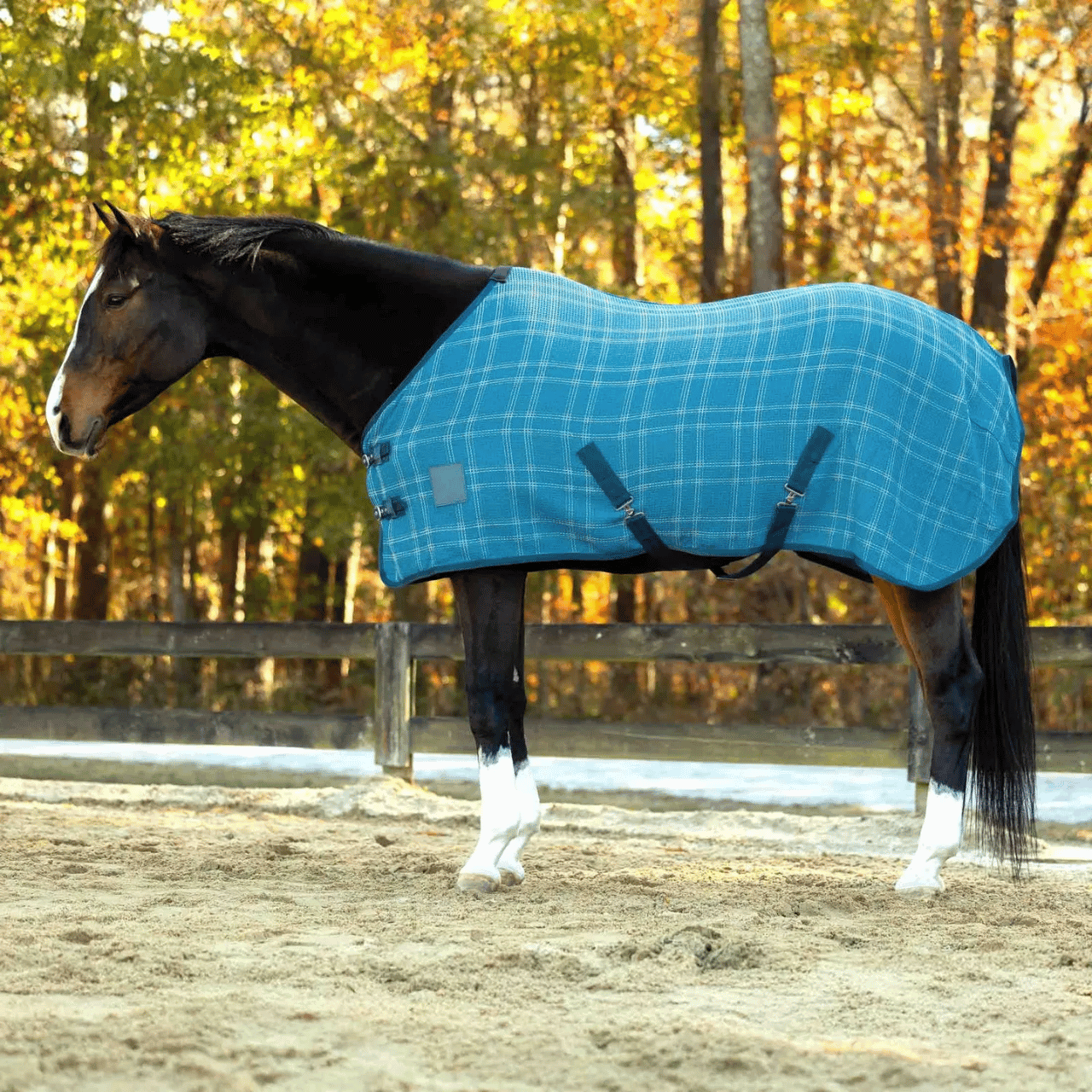 Equinavia Luftig Waffle Cooler Equinavia Luftig Waffle Cooler