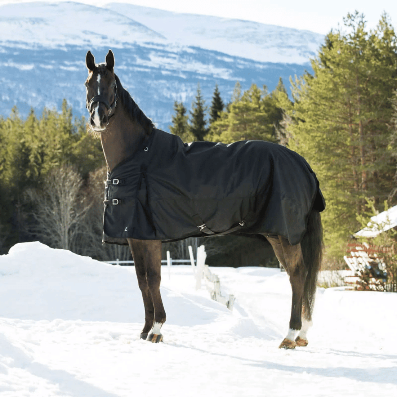 Horze Heavyweight Blankets Horze Heavyweight Blankets