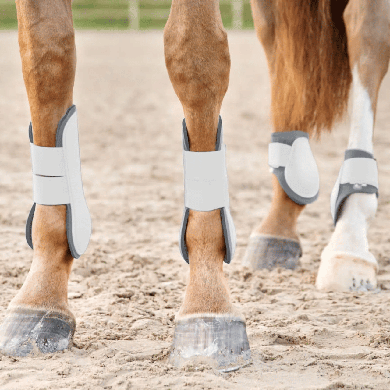 Horze Tendon Boots Horze Tendon Boots
