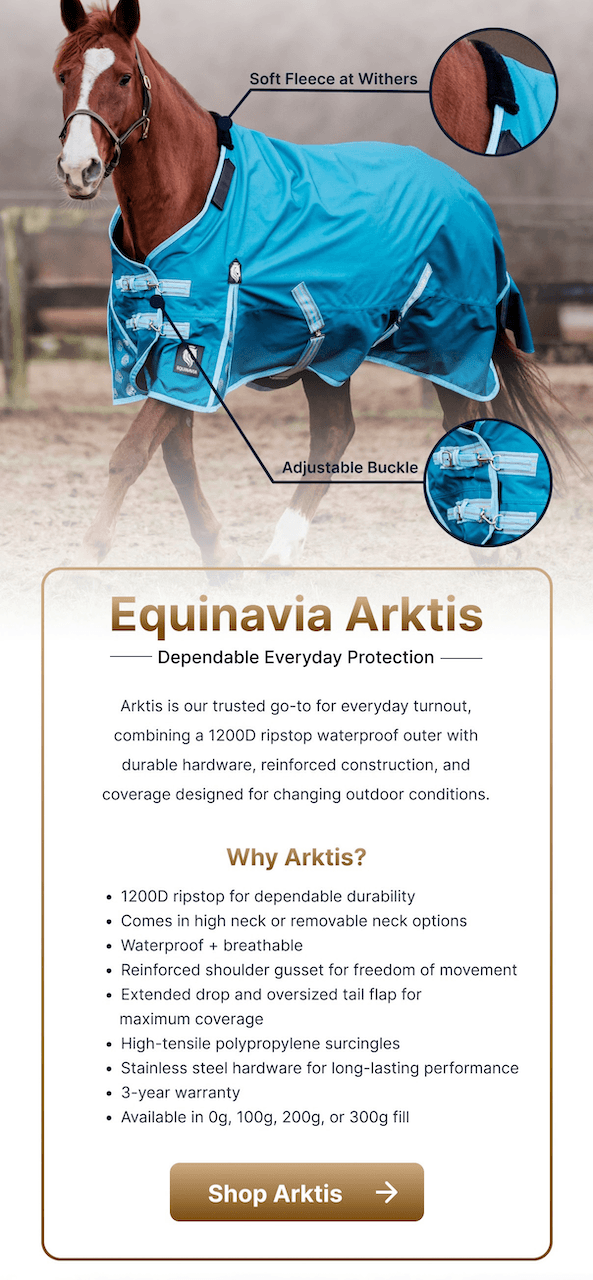 Equinavia Arktis Equinavia Arktis