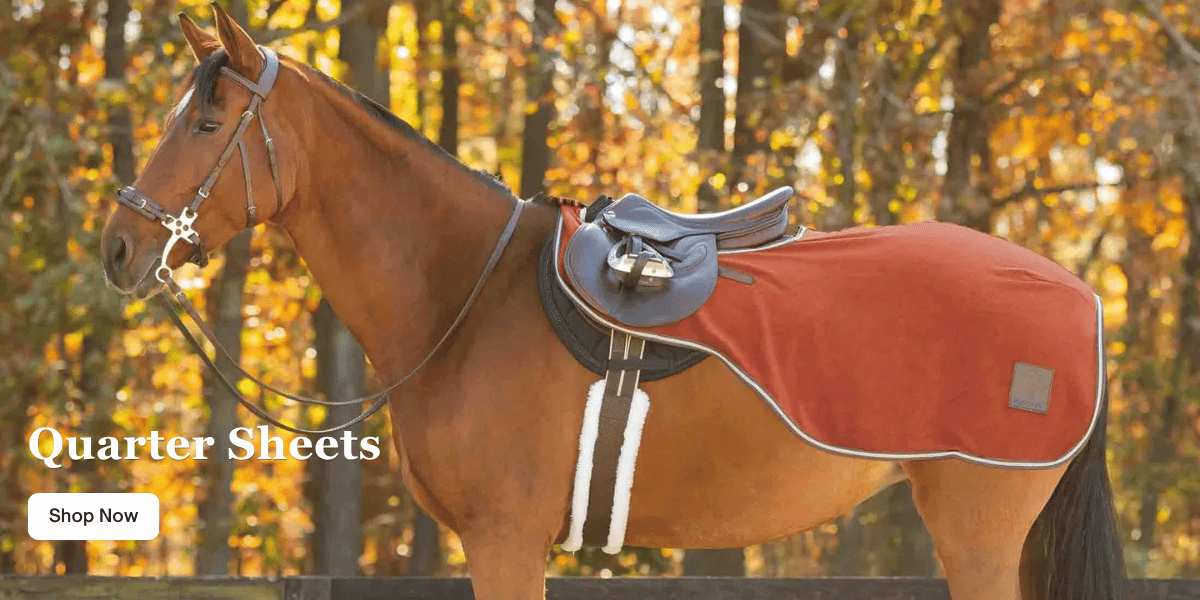 Equinavia & Horze Quarter Sheets Equinavia & Horze Quarter Sheets