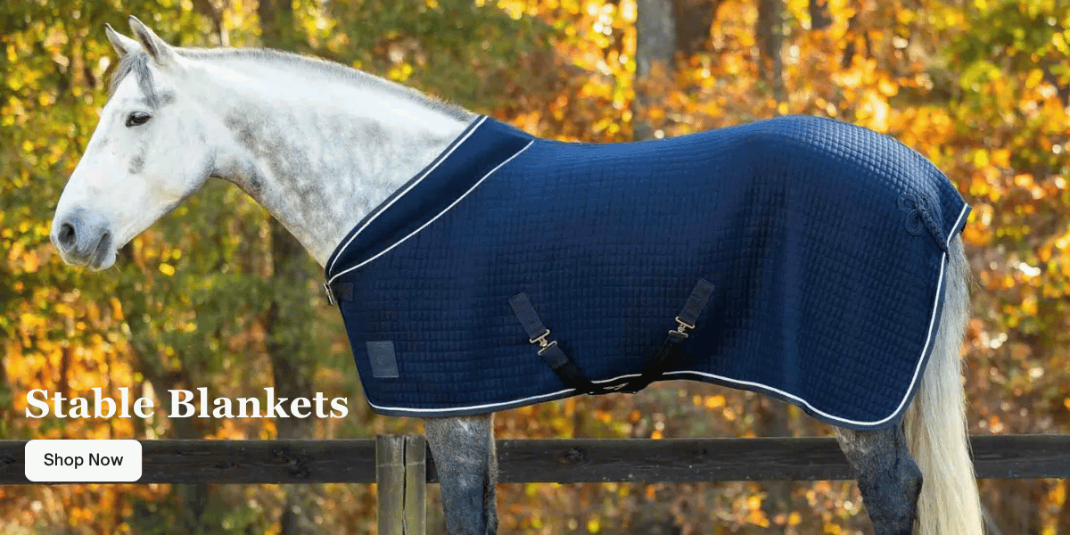 Stable Blankets Stable Blankets