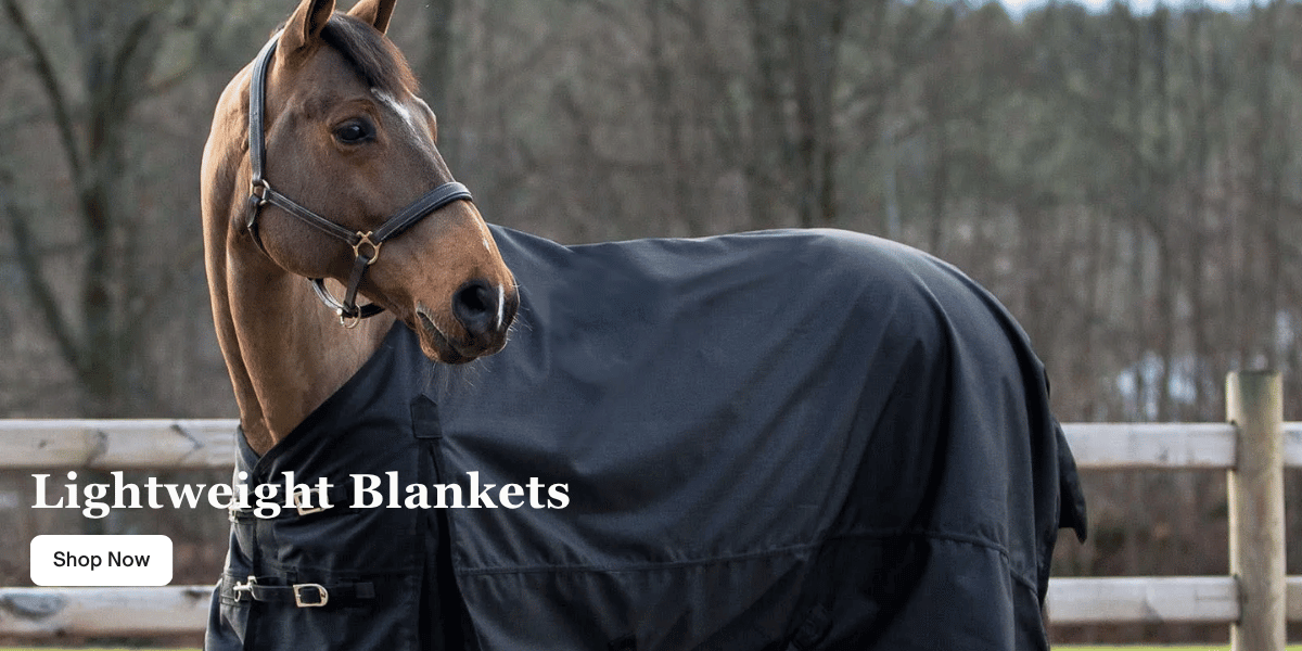 Equinavia Brands Lightweight Blankets Equinavia Brands Lightweight Blankets