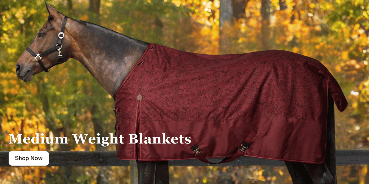 Medium Weight Blankets Medium Weight Blankets