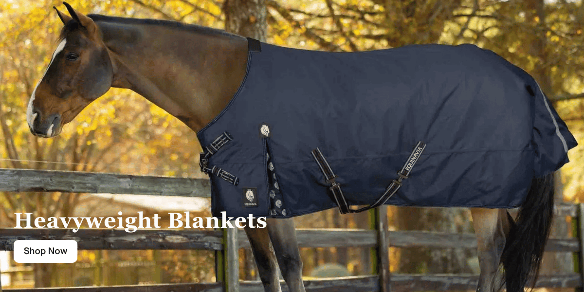 Equinavia Brands Heavyweight Blankets Equinavia Brands Heavyweight Blankets