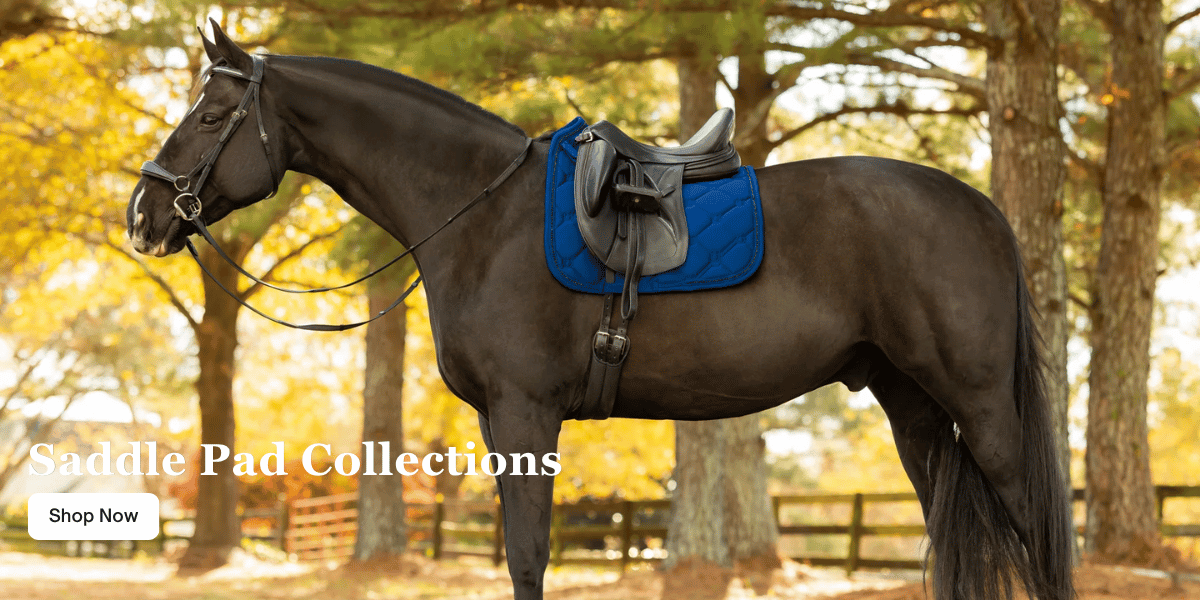 Equinavia Brands Saddle Pads Equinavia Brands Saddle Pads