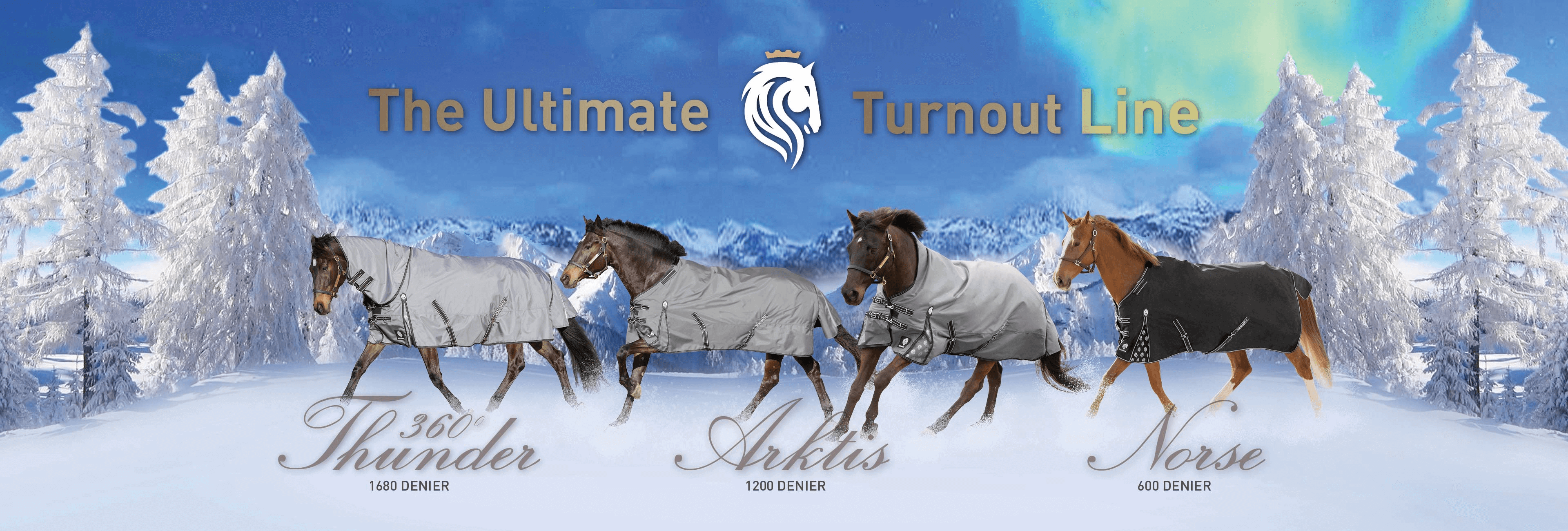The Ultimate Turnout Line The Ultimate Turnout Line