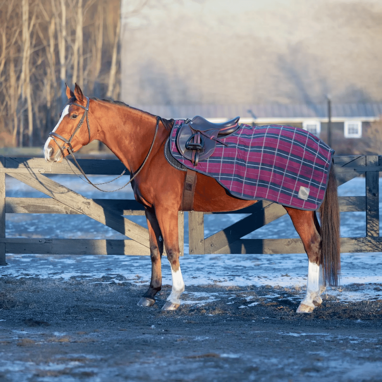 Equinavia Norse Fleece Quarter Sheet