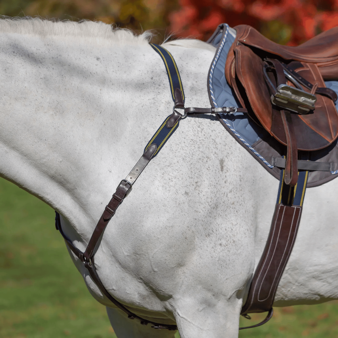Breastplates & Martingales
