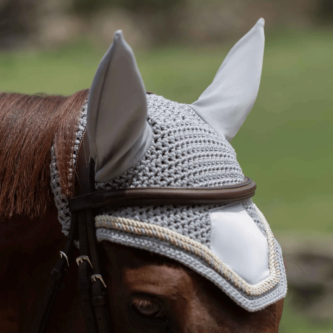 Ear Nets