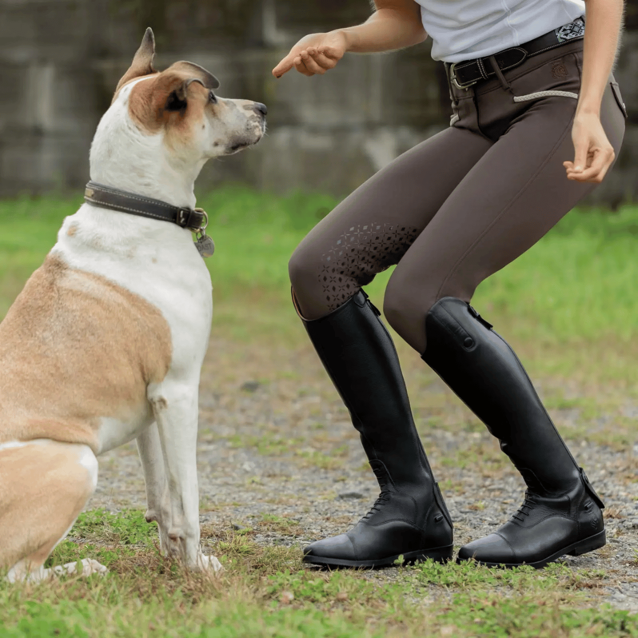 Equinavia Brands Field Boots