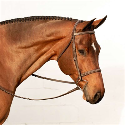 Equinavia Saga Collection
