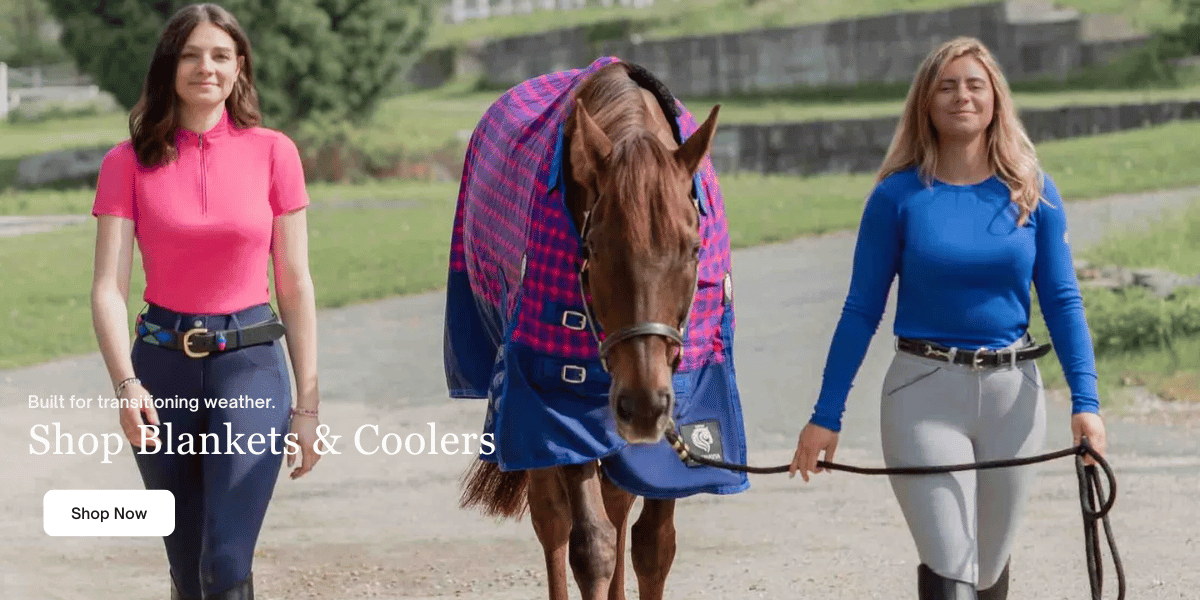 Blankets & Coolers