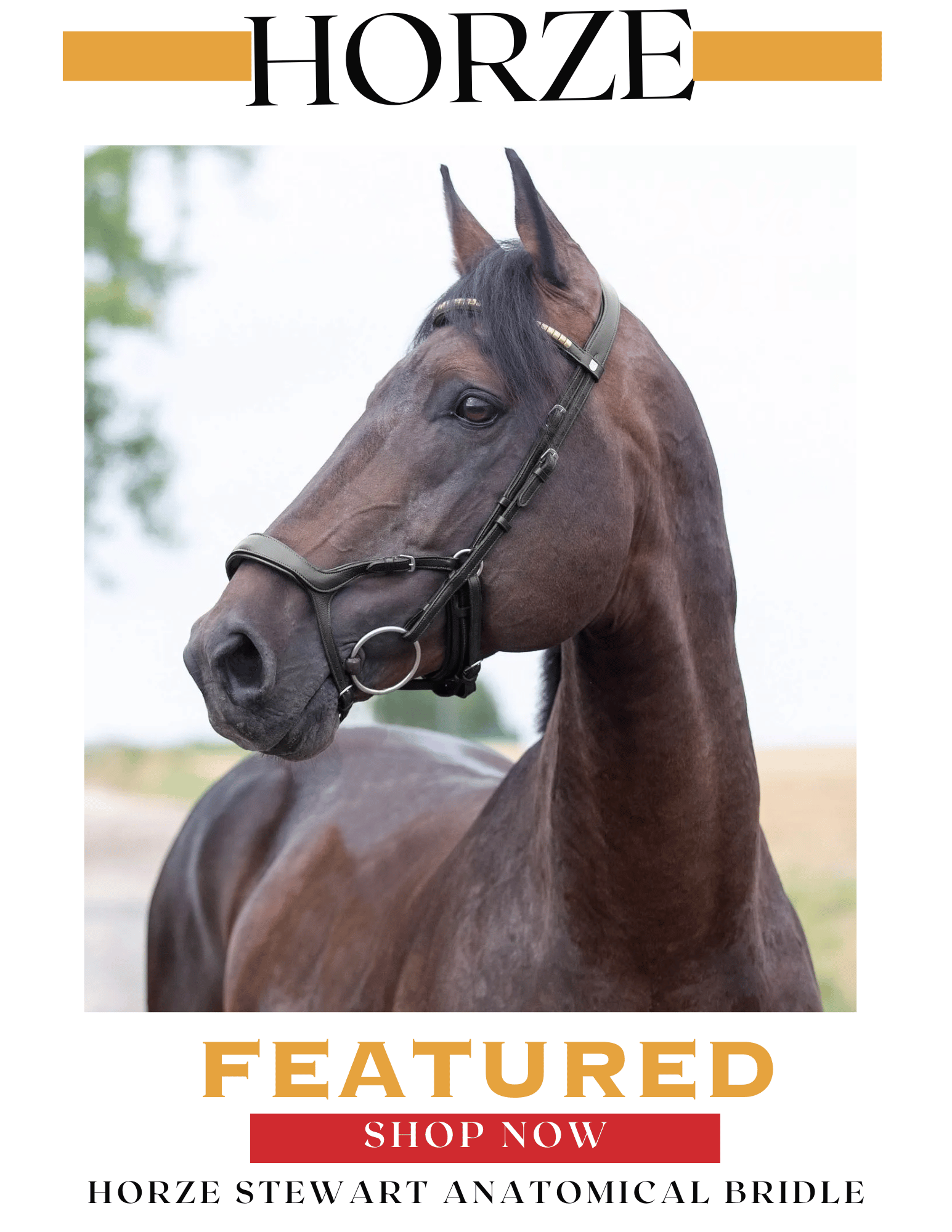 Horze Stewart Anatomical Bridle