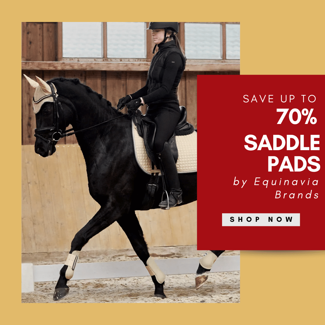 Save up to 75% off Equinavia Brands Saddle Pads