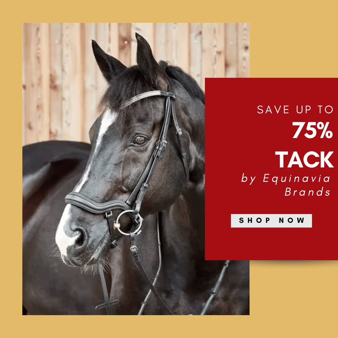 Save up to 77% on Equinavia Brands Tack