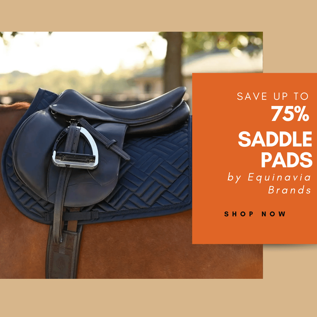 Save up to 75% off Equinavia Brands Saddle Pads