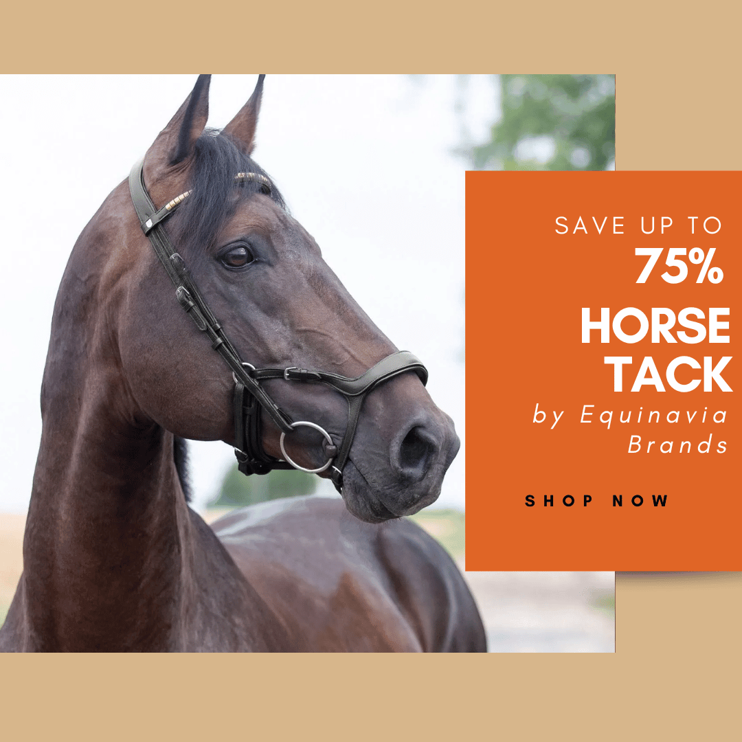 Save up to 75% on Equinavia Brands Tack