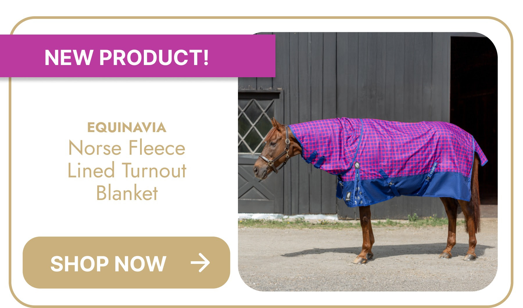 Equinavia Norse Fleece Lined Turnout Blanket