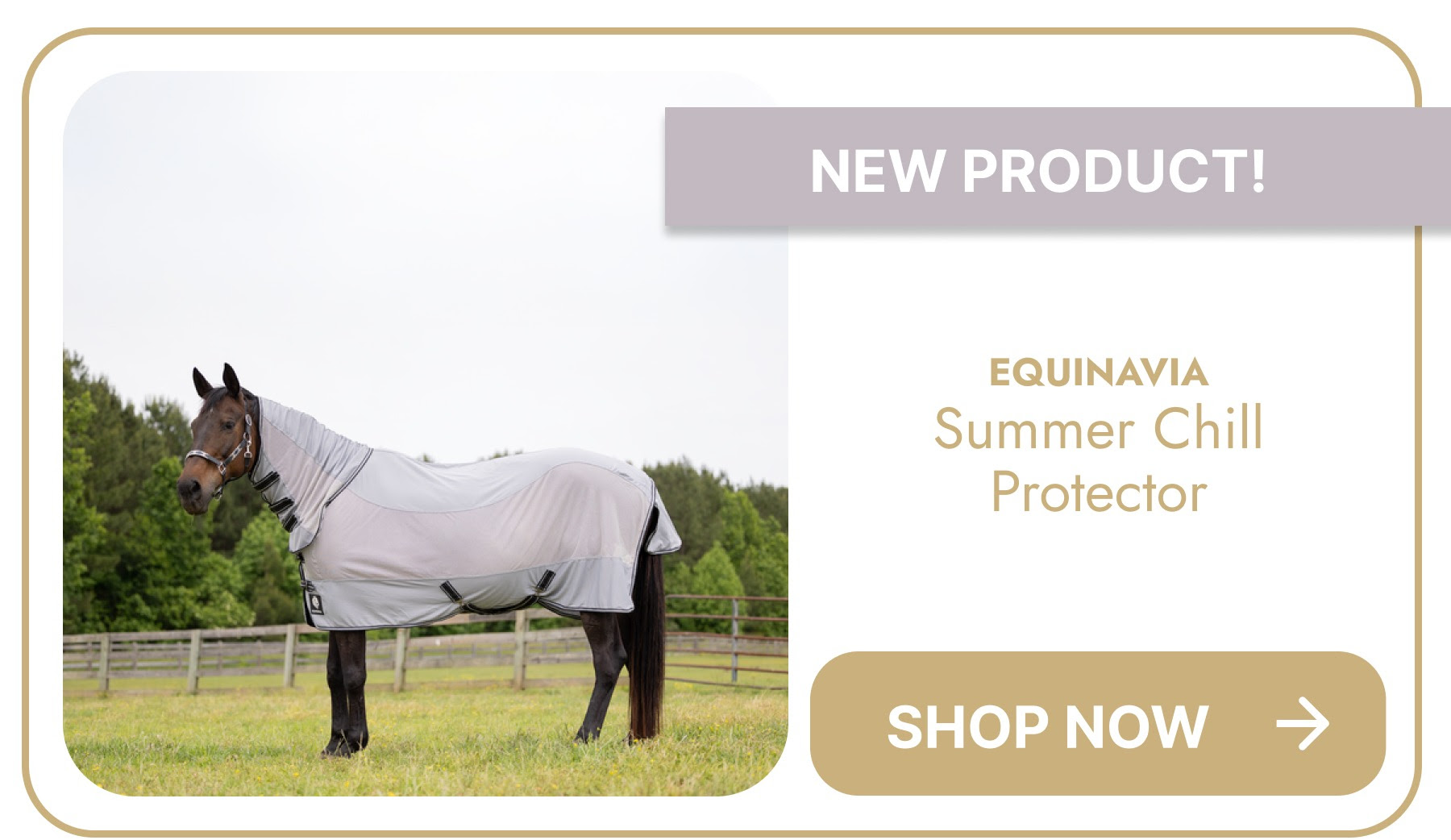 Equinavia Summer Chill Protector