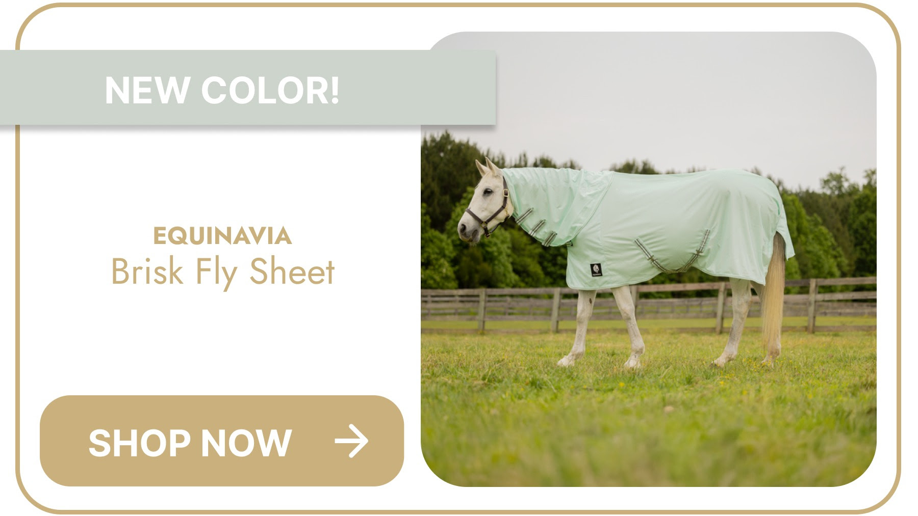 Equinavia Brisk Fly Sheet