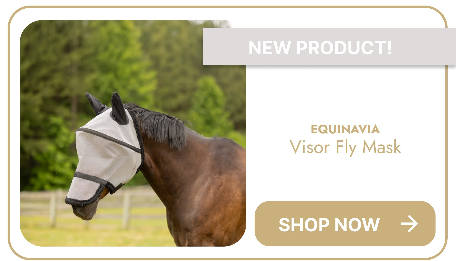 Equinavia Visor Fly Mask