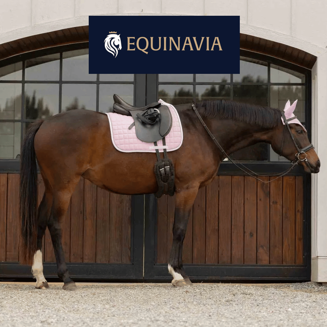 Equinavia Saddle Pads