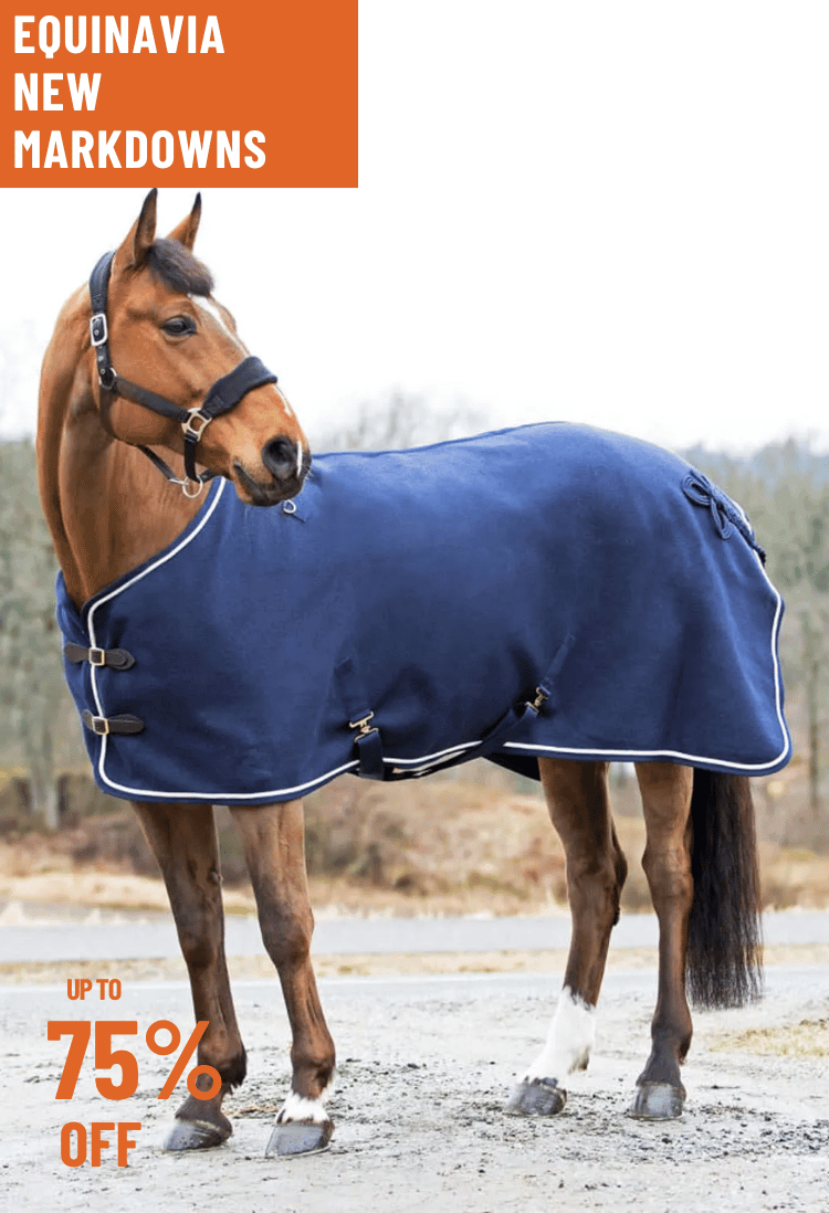 For Your Horse For Your Horse