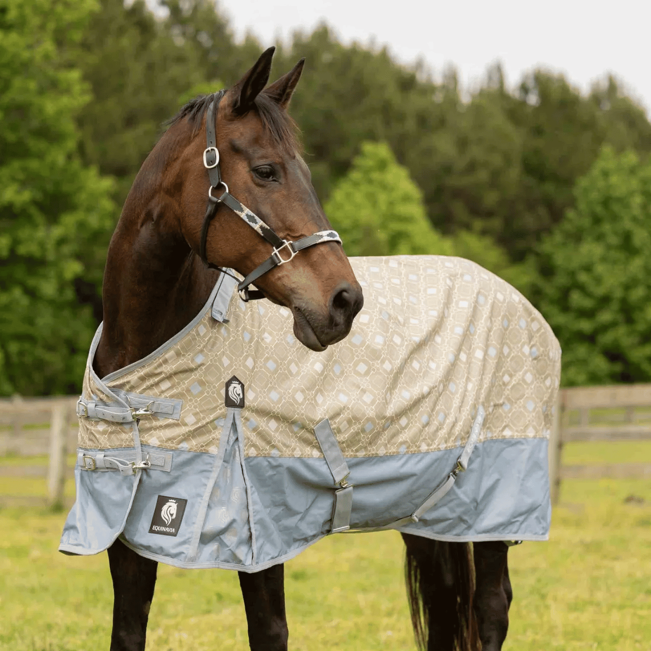Equinavia Norse Turnout Sheet