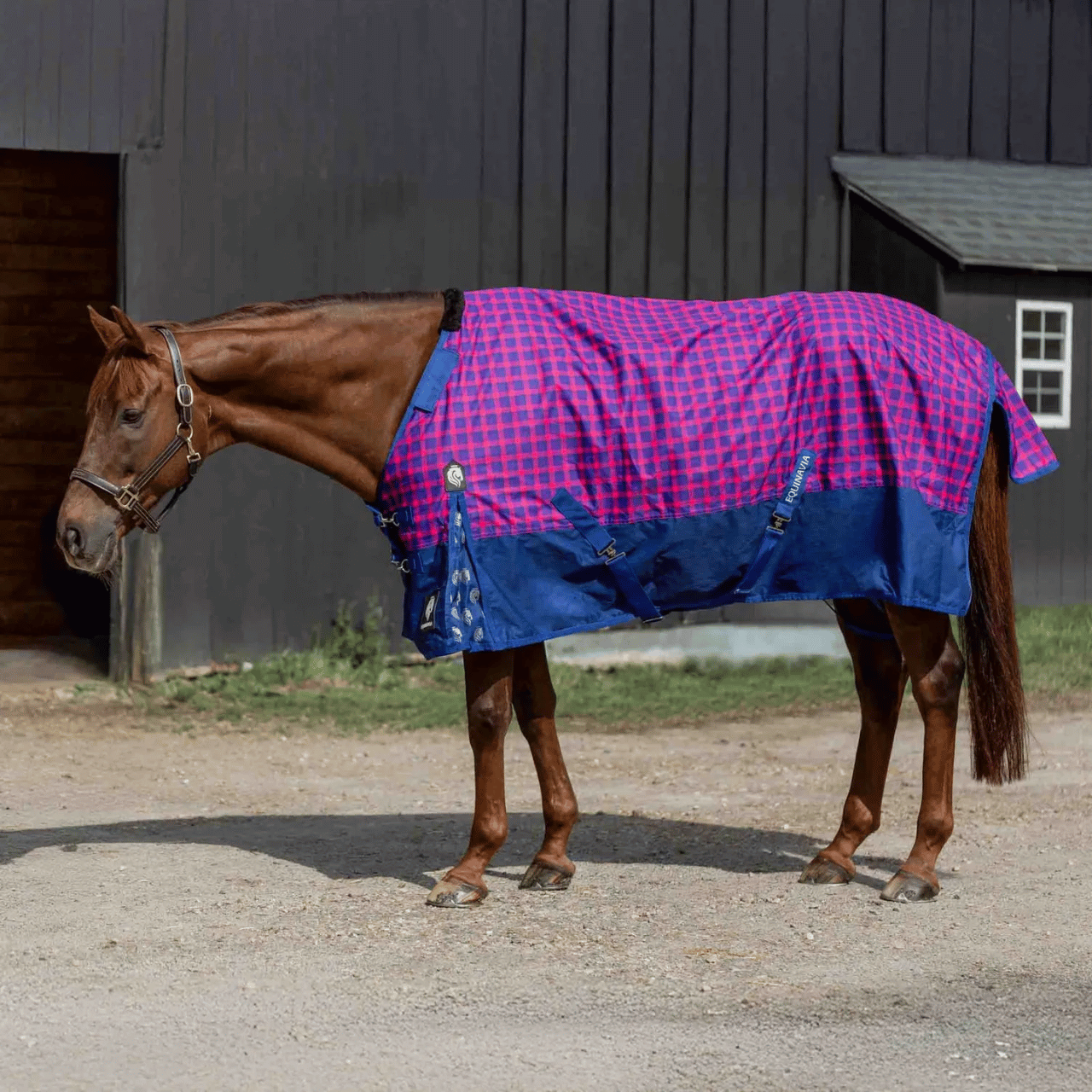 Equinavia Norse Light Weight Turnout