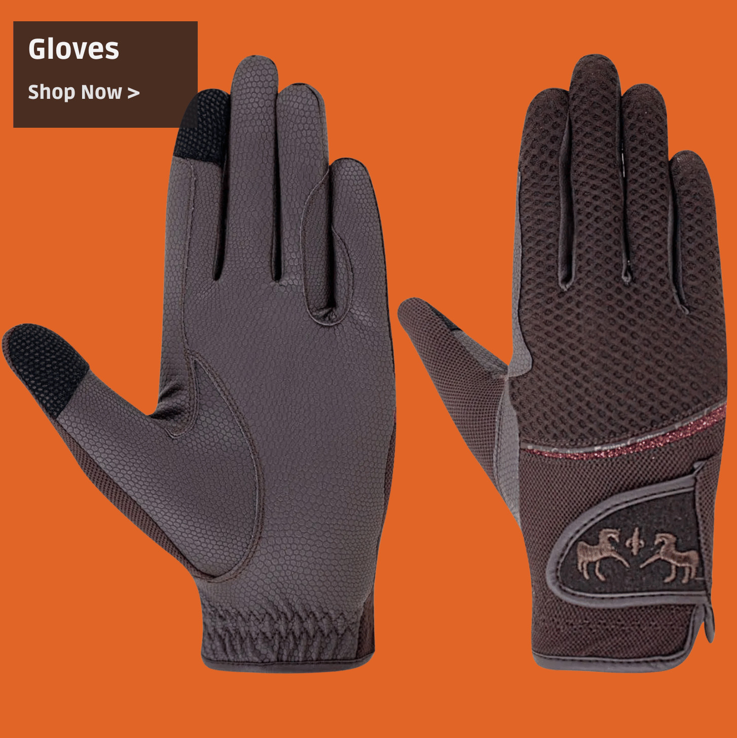 Riding Gloves
